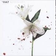 Il testo HEATHENS dei THE CULT è presente anche nell'album Hidden city (2016)