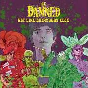 Il testo WHEN I WAS YOUNG di THE DAMNED è presente anche nell'album Not like everybody else (2026)