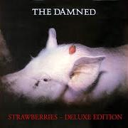 Il testo DON'T BOTHER ME di THE DAMNED è presente anche nell'album Strawberries (1982)