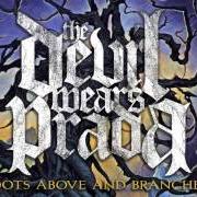 Il testo WAPAKALYPSE dei THE DEVIL WEARS PRADA è presente anche nell'album With roots above and branches below (2009)