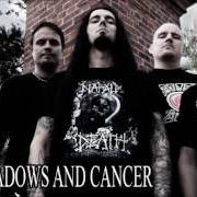 Il testo SHADOWS AND CANCER dei THE DUSKFALL è presente anche nell'album The dying wonders of the world (2007)