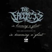 Il testo DIGGING THE GRAVE dei THE FACELESS è presente anche nell'album In becoming a ghost (2017)