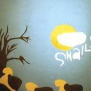 Il testo WAIT WAIT WAIT dei THE FORMAT è presente anche nell'album Snails (2005)