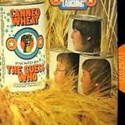 Il testo SILVER BIRD dei THE GUESS WHO è presente anche nell'album Canned wheat (1969)