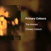 Il testo PRIMARY COLOURS dei THE HORRORS è presente anche nell'album Primary colours (2009)