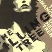 The romance of helen trent The romance of helen trent