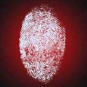 The runaway The runaway