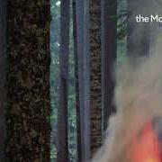 Il testo MOBILE dei THE MOUNTAIN GOATS è presente anche nell'album Dark in here (2021)
