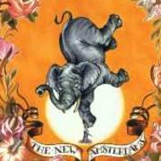 Il testo HUGHES dei THE NEW AMSTERDAMS è presente anche nell'album At the foot of my rival (2007)