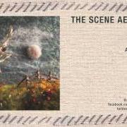 Il testo DEAR TIME TRAVELER dei THE SCENE AESTHETIC è presente anche nell'album The scene aesthetic (2007)