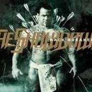 Il testo APHRODITE - THE ILLUSIONAIRE di THE SHOWDOWN è presente anche nell'album Back breaker (2008)