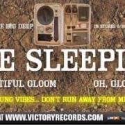 Il testo YOUNG VIBES... DON'T RUN AWAY FROM ME di THE SLEEPING è presente anche nell'album The big deep (2010)