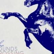 Il testo MIDNIGHT SUN dei THE SOUNDS è presente anche nell'album Crossing the rubicon (2009)