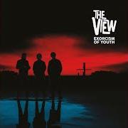 Il testo THE WONDER OF IT ALL dei THE VIEW è presente anche nell'album Exorcism of youth (2023)