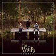 Il testo WILLOW TREE dei THE WAIFS è presente anche nell'album Ironbark (2017)