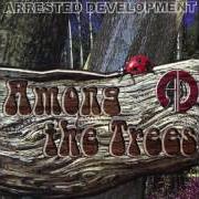 Il testo NIGHT TIME DEMONS di ARRESTED DEVELOPMENT è presente anche nell'album Among the trees (2004)