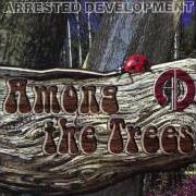 Il testo BABA O JE' IS THE OLDEST ONE (PART II) di ARRESTED DEVELOPMENT è presente anche nell'album Among the trees (2004)