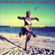Il testo UNITED FRONT di ARRESTED DEVELOPMENT è presente anche nell'album Zingalamaduni (1994)