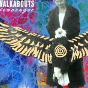 Il testo THE NIGHT WATCH dei THE WALKABOUTS è presente anche nell'album Scavenger (1990)