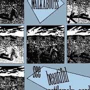 Il testo JUMPING OFF dei THE WALKABOUTS è presente anche nell'album See beautiful rattlesnake gardens (1988)