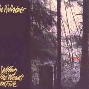 Il testo NIGHTDRIVE dei THE WALKABOUTS è presente anche nell'album Setting the woods of fire (1994)