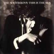 Il testo KILLING MY HEART dei THE WATERBOYS è presente anche nell'album The best of the waterboys (1991)