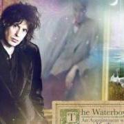 Il testo SWEET DANCER dei THE WATERBOYS è presente anche nell'album An appointment with mr. yeats (2013)