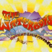 Il testo YOU IN THE SKY dei THE WATERBOYS è presente anche nell'album Book of lightning (2007)