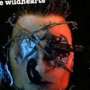 The wildhearts