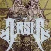 Il testo THE THINGS YOU SAID degli ARSIS è presente anche nell'album United in regret (2006)