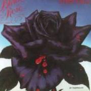 Il testo SARAH (VERSION 2) dei THIN LIZZY è presente anche nell'album Black rose: a rock legend (1979)