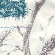 Il testo IMAGES WITHIN THE TIDES OF TRANQUILLITY dei THORNS OF THE CARRION è presente anche nell'album The gardens of dead winter (1995)