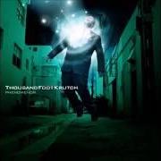 Il testo THIS IS A CALL dei THOUSAND FOOT KRUTCH è presente anche nell'album Phenomenon (2003)