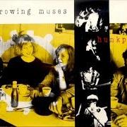 Il testo AMERICA (SHE CAN'T SAY NO) dei THROWING MUSES è presente anche nell'album Throwing muses (1986)