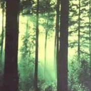 Il testo OF DARKNESS AND LIGHT dei THY SERPENT è presente anche nell'album Forests of witchery (1996)