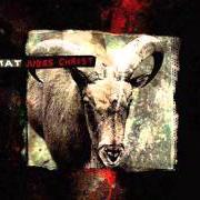 Il testo SUMER BY NIGHT dei TIAMAT è presente anche nell'album Judas christ (2002)