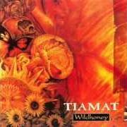 Il testo PLANETS dei TIAMAT è presente anche nell'album Wildhoney (1994)