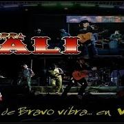 Il testo CORAZÓN DESTROZADO di TIERRA CALI è presente anche nell'album Valle de bravo vibra... en vivo (2013)