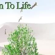 Il testo INTRO dei TIMO TOLKKI è presente anche nell'album Hymn to life (2002)