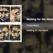 Il testo WAITING FOR THE MOON dei TINDERSTICKS è presente anche nell'album Waiting for the moon (2003)