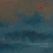 Il testo ANANAS ET POIVRE dei TINDERSTICKS è presente anche nell'album Ypres (2014)