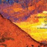 Il testo SISTER SELF dei TINDERSTICKS è presente anche nell'album Falling down a mountain (2010)