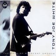 Il testo THEY CAUGHT THE DEVIL AND PUT HIM IN JAIL IN EUDORA, ARKANSAS di TONY JOE WHITE è presente anche nell'album The best of tony joe white (1993)