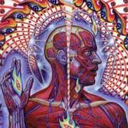 Il testo SCHISM dei TOOL è presente anche nell'album Lateralus (2001)