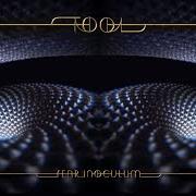 Il testo MOCKINGBEAT dei TOOL è presente anche nell'album Fear inoculum (2019)