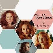 Il testo JAMAICA INN di TORI AMOS è presente anche nell'album The beekeeper (2005)