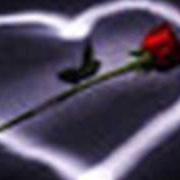 Il testo GLI AMORI di TOTO CUTUGNO è presente anche nell'album Come noi nessuno al mondo (2005)