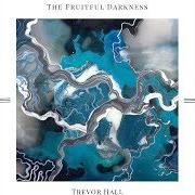 Il testo WELL I SAY... di TREVOR HALL è presente anche nell'album This is blue (2008)