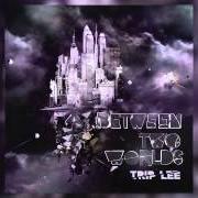 Il testo LIFE 101 di TRIP LEE è presente anche nell'album Between two worlds (2010)