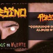 Il testo AMOR MARRANO di ASESINO è presente anche nell'album Corridos de muerte (2002)
